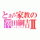 とある家教の澤田綱吉Ⅱ（インデックス）