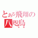 とある飛翔の八咫鳥（铃木俊）