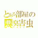 とある部屋の悪臭害虫（カメムシ）