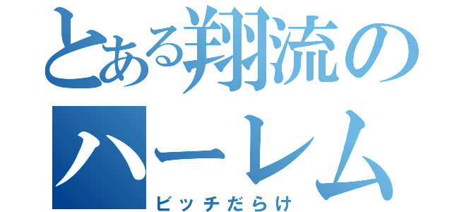 とある翔流のハーレム状態（ビッチだらけ）