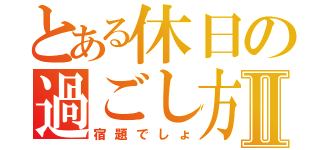 とある休日の過ごし方Ⅱ（宿題でしょ）