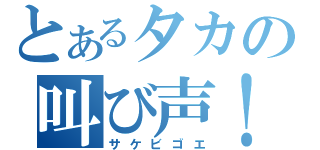 とあるタカの叫び声！（サケビゴエ）