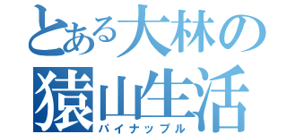 とある大林の猿山生活（パイナップル）