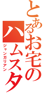 とあるお宅のハムスター（ジャンガリアン）