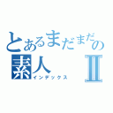 とあるまだまだの素人Ⅱ（インデックス）