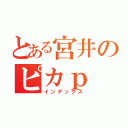 とある宮井のピカｐ（インデックス）