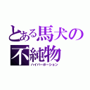 とある馬犬の不純物（ハイパーポーション）