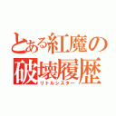 とある紅魔の破壊履歴（リトルシスター）