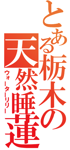 とある栃木の天然睡蓮（ウォーターリリー）