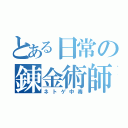 とある日常の錬金術師（ネトゲ中毒）