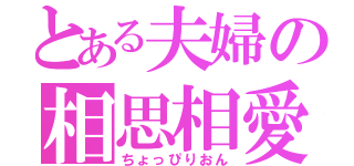 とある夫婦の相思相愛（ちょっぴりおん）