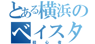 とある横浜のベイスターズ（初心者）