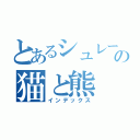 とあるシュレーディンガーの猫と熊（インデックス）