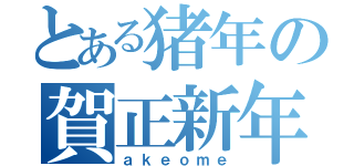 とある猪年の賀正新年（ａｋｅｏｍｅ）