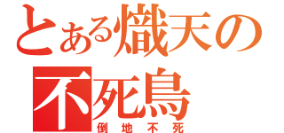 とある熾天の不死鳥（倒地不死）