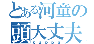 とある河童の頭大丈夫（ｋａｐｐａ）