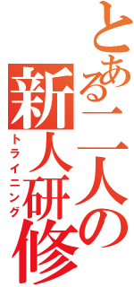 とある二人の新人研修（トライニング）