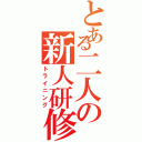 とある二人の新人研修（トライニング）