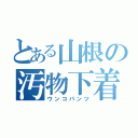 とある山根の汚物下着（ウンコパンツ）