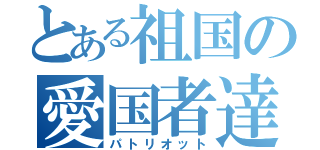 とある祖国の愛国者達（パトリオット）