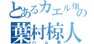 とあるカエル畑の葉村椋人（ハム男）