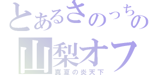 とあるさのっちの山梨オフ（真夏の炎天下）