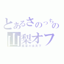 とあるさのっちの山梨オフ（真夏の炎天下）