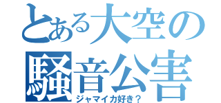 とある大空の騒音公害（ジャマイカ好き？）