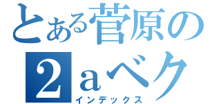 とある菅原の２ａベクトル（インデックス）