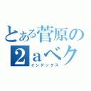 とある菅原の２ａベクトル（インデックス）