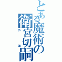 とある魔術の衛宮切嗣（外道）