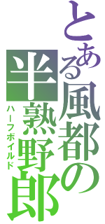 とある風都の半熟野郎（ハーフボイルド）