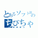 とあるソフト部のちびちゃん（宮崎綾乃）