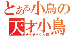 とある小鳥の天才小鳥（チャチャくん様）