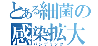 とある細菌の感染拡大（パンデミック）