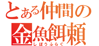 とある仲間の金魚餌頼（しぼうふらぐ）