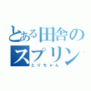 とある田舎のスプリンター（とりちゃん）