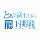 とある富士山の頂上挑戦（コワイデス）