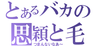 とあるバカの思穎と毛眈（つまんないなあ～）