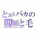 とあるバカの思穎と毛眈（つまんないなあ～）