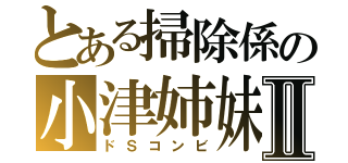 とある掃除係の小津姉妹Ⅱ（ドＳコンビ）