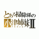 とある掃除係の小津姉妹Ⅱ（ドＳコンビ）