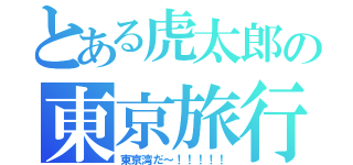 とある虎太郎の東京旅行（東京湾だ～！！！！！）