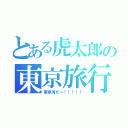 とある虎太郎の東京旅行（東京湾だ～！！！！！）