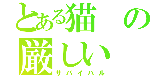 とある猫の厳しい（サバイバル）