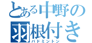 とある中野の羽根付き（バドミントン）