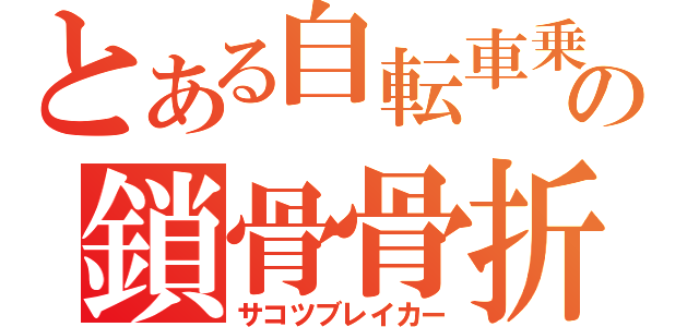 とある自転車乗りの鎖骨骨折（サコツブレイカー）