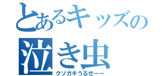 とあるキッズの泣き虫（クソガキうるせーー）