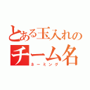 とある玉入れのチーム名（ネーミング）