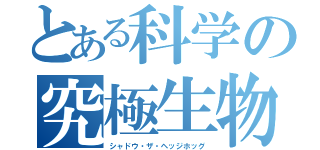 とある科学の究極生物（シャドウ・ザ・ヘッジホッグ）